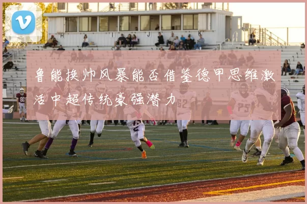 鲁能换帅风暴能否借鉴德甲思维激活中超传统豪强潜力