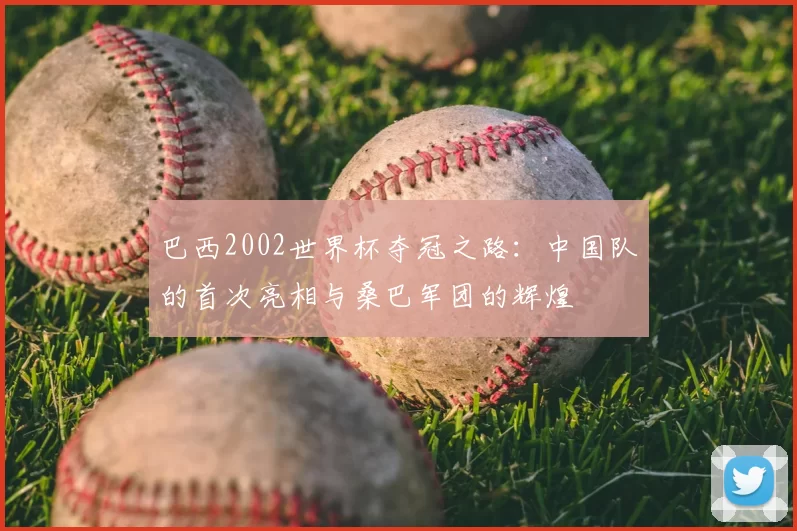 巴西2002世界杯夺冠之路：中国队的首次亮相与桑巴军团的辉煌