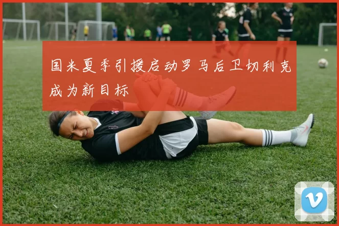 国米夏季引援启动罗马后卫切利克成为新目标