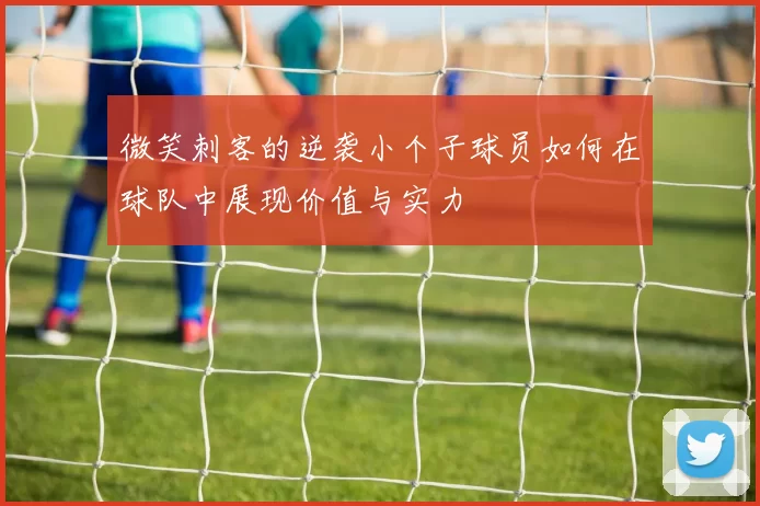 微笑刺客的逆袭小个子球员如何在球队中展现价值与实力