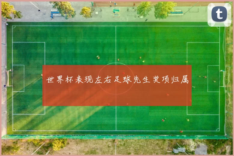 世界杯表现左右足球先生奖项归属