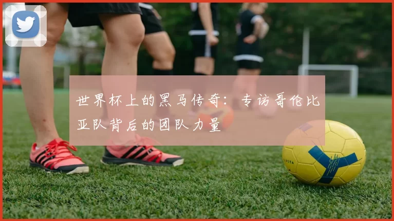 世界杯上的黑马传奇：专访哥伦比亚队背后的团队力量