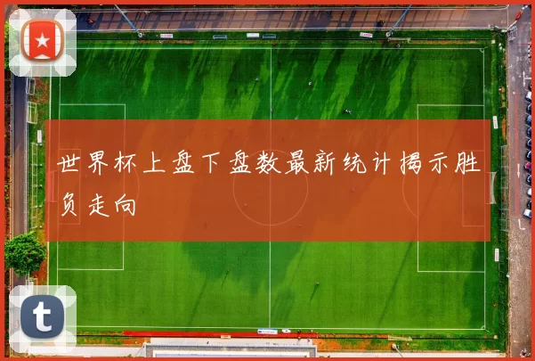 世界杯上盘下盘数最新统计揭示胜负走向