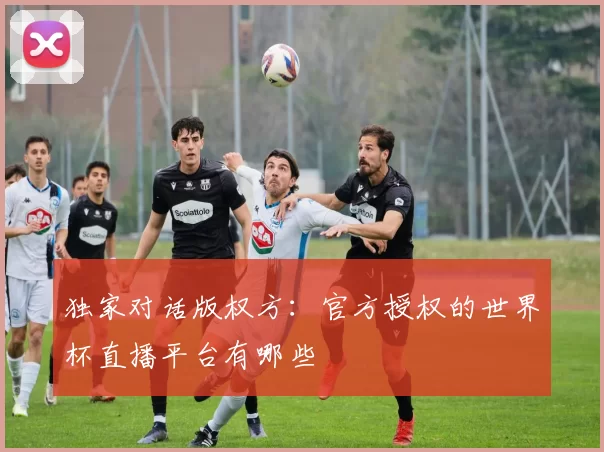 独家对话版权方：官方授权的世界杯直播平台有哪些