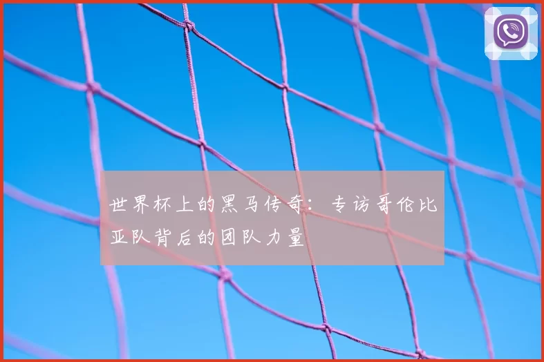 世界杯上的黑马传奇：专访哥伦比亚队背后的团队力量